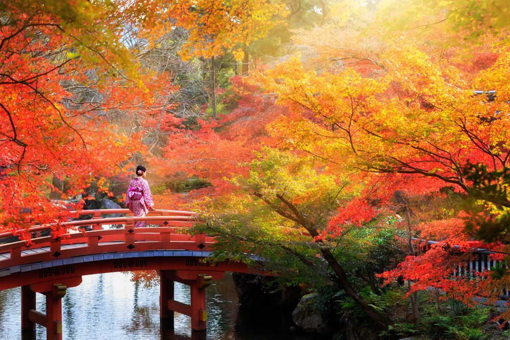 Autumn in Japan