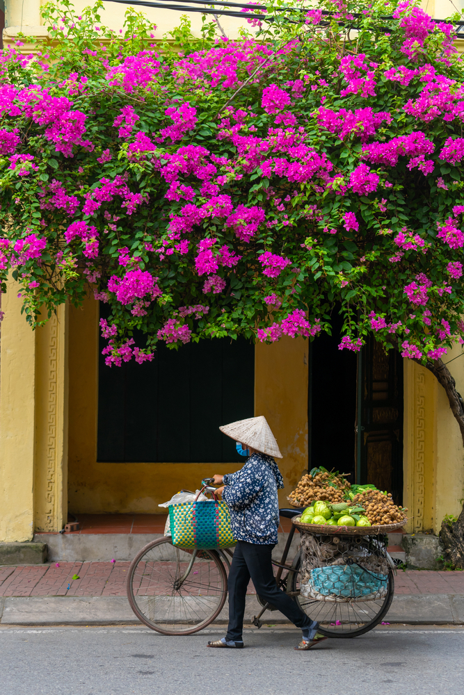 Unforgettable Vietnam: 16 Days